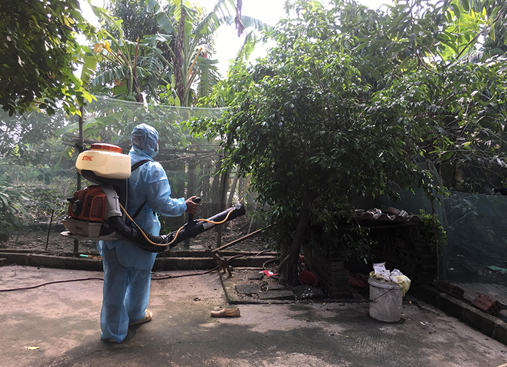 Quảng Ninh: Tăng cường các giải pháp phòng, chống bệnh sốt xuất huyết