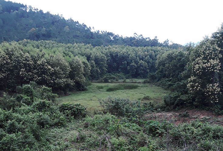 Bài 1: Tranh chấp đất đai, dân kiện nhau ra tòa