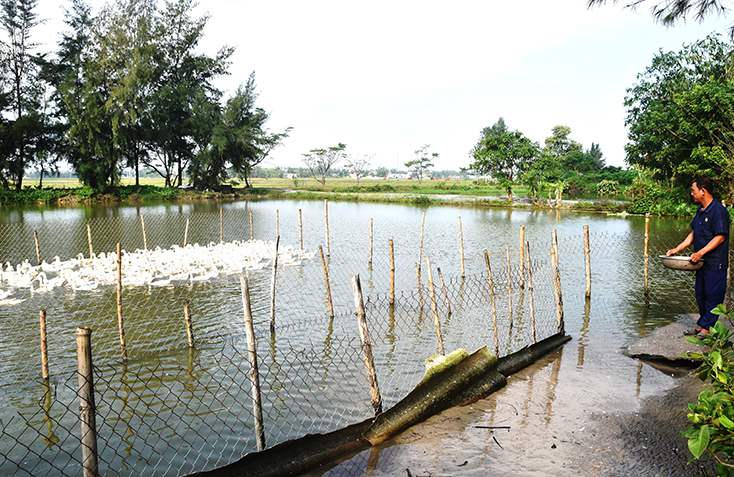 Một cựu chiến binh vùng giáo gương mẫu