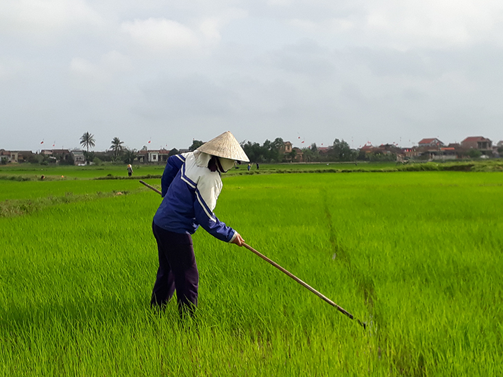Lệ Thủy:  Đột phá với tiêu chí thủy lợi