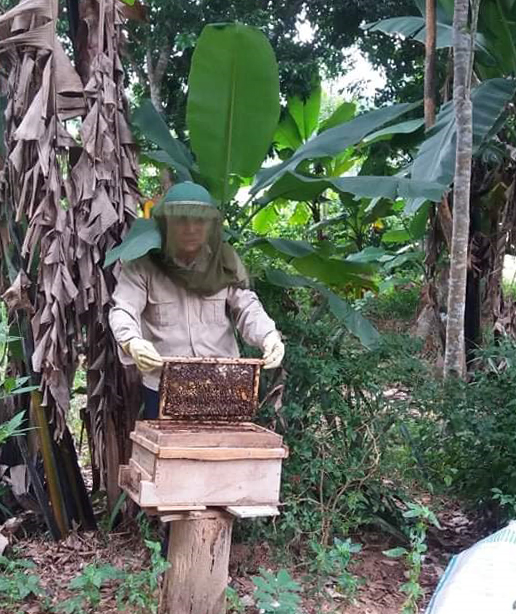 Cần hướng đi bền vững cho nghề nuôi ong lấy mật