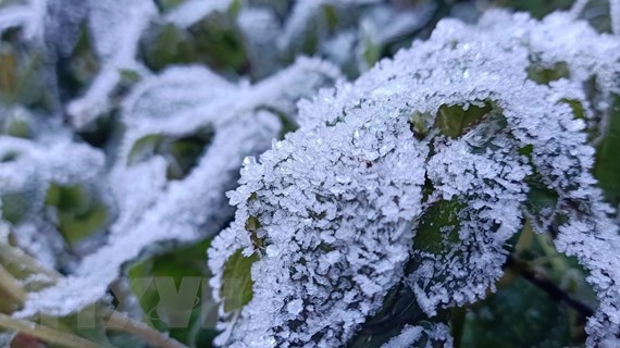 Bắc Bộ nắng ráo, vùng núi cao có băng giá và sương muối