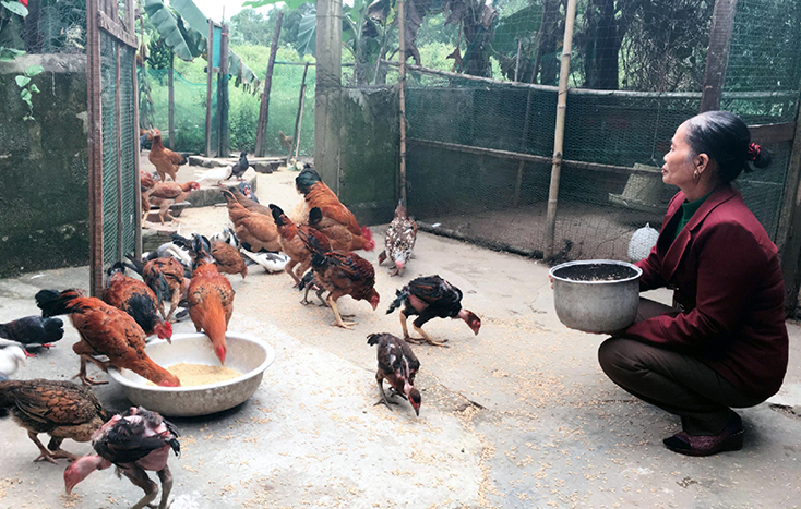 Đồng hành, hỗ trợ phụ nữ khởi nghiệp