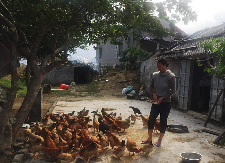 Quảng Trạch:  Khi tín dụng chính sách là "phao cứu sinh" của người nghèo