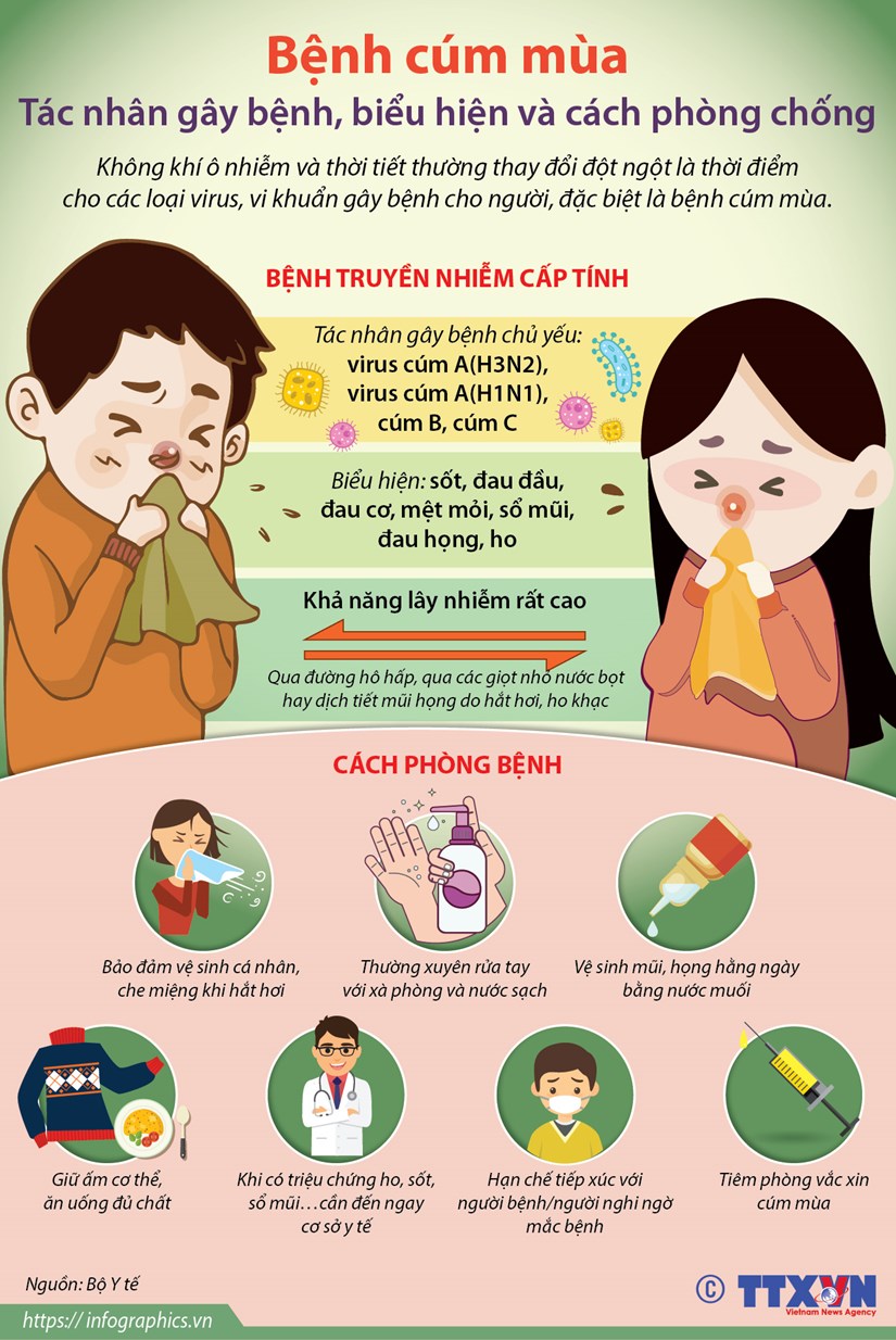 Bệnh cúm mùa: Tác nhân gây bệnh, biểu hiện và cách phòng chống