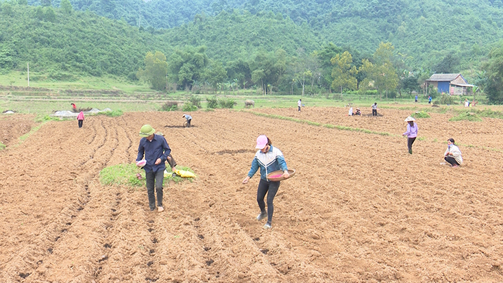 Tuyên Hóa: Sẵn sàng sản xuất vụ đông xuân 2019-2020