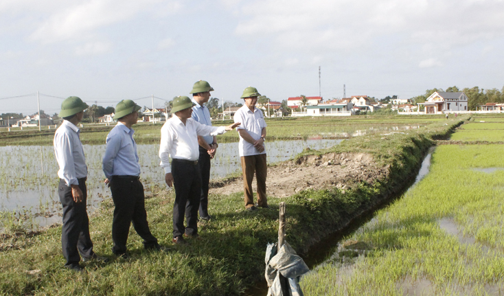 Đồng chí Phó Chủ tịch UBND tỉnh kiểm tra tình hình sản xuất vụ đông-xuân 2019-2020