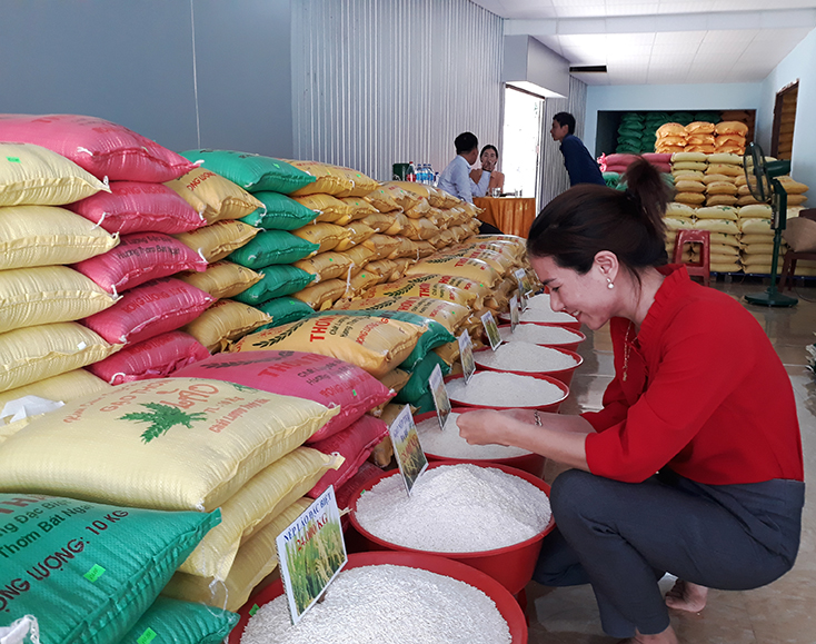 Lợi ích "kép" cho doanh nghiệp và nông dân
