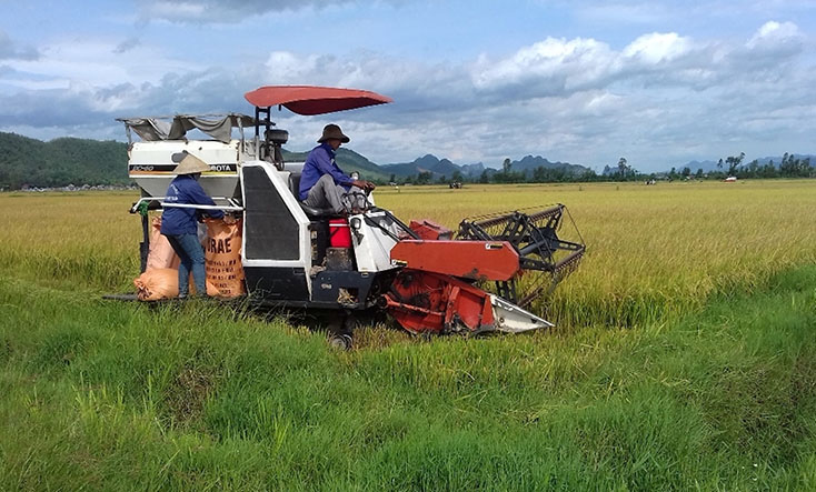Thị xã Ba Đồn: 100% diện tích đất canh tác được cơ giới hóa