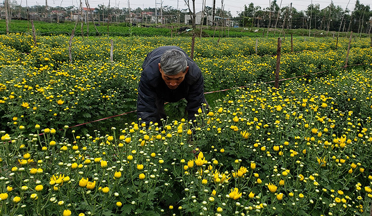 Những ngày giáp Tết ở Quảng Long