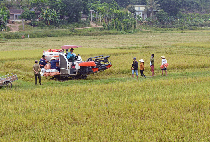 Tiếp tục tạo đột phá trong phát triển kinh tế-xã hội