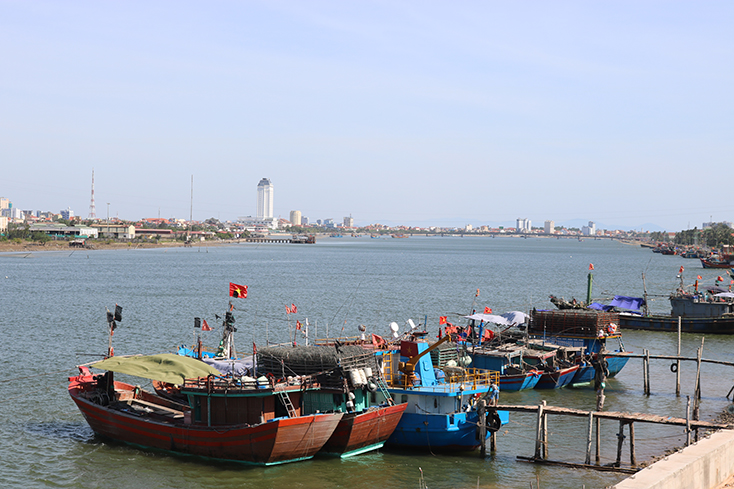 Ăn ốc biển lạ, 1 người chết, 7 người nguy kịch