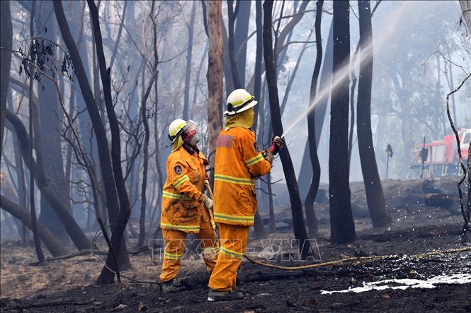 Tin vui cho cuộc chiến chống cháy rừng ở Australia