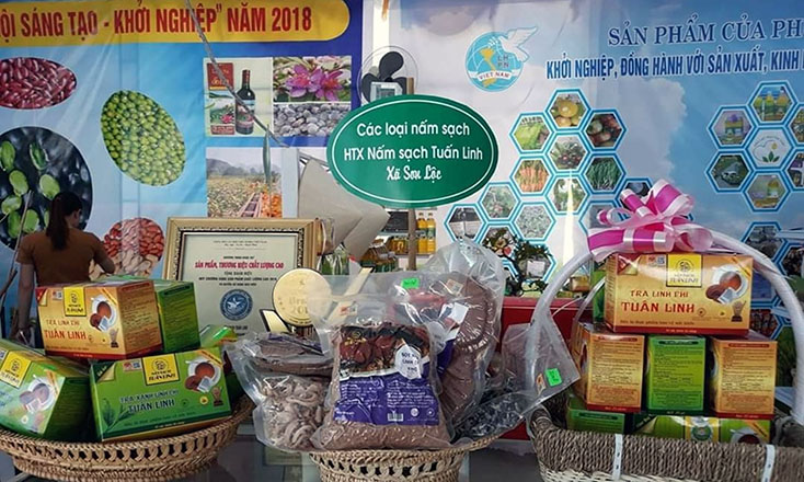 Công nhận 24 sản phẩm OCOP cấp tỉnh