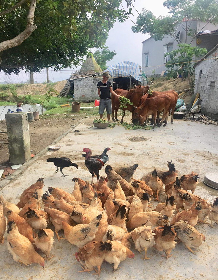 Vốn tín dụng "tiếp sức" người khuyết tật