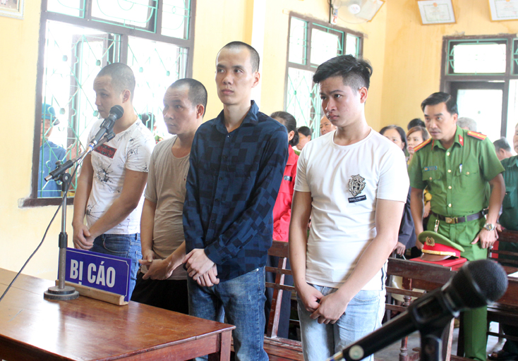 Tổ chức thành công 62 phiên tòa hình sự lưu động