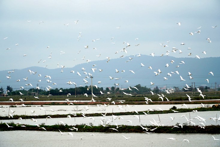 Đất lành