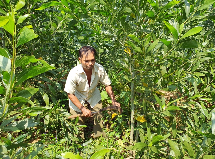 Cổ tích nơi thượng nguồn Rào Đá
