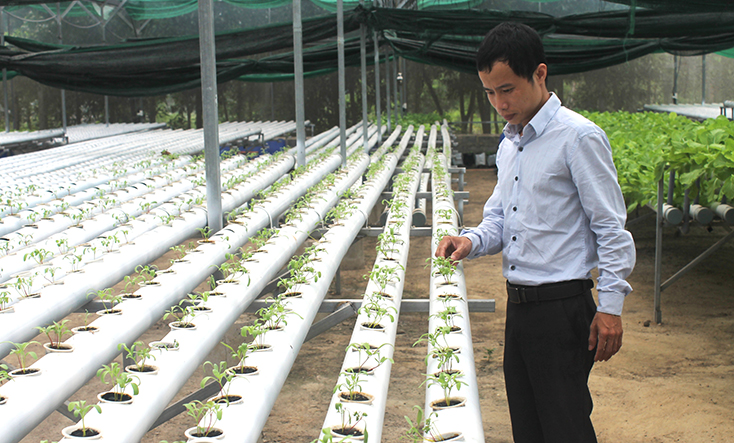 Bước tiến nông nghiệp công nghệ cao