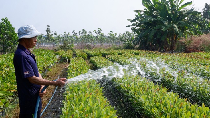 Xuân trên quê mới Bù Đốp