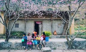Mùa xuân tươi thắm