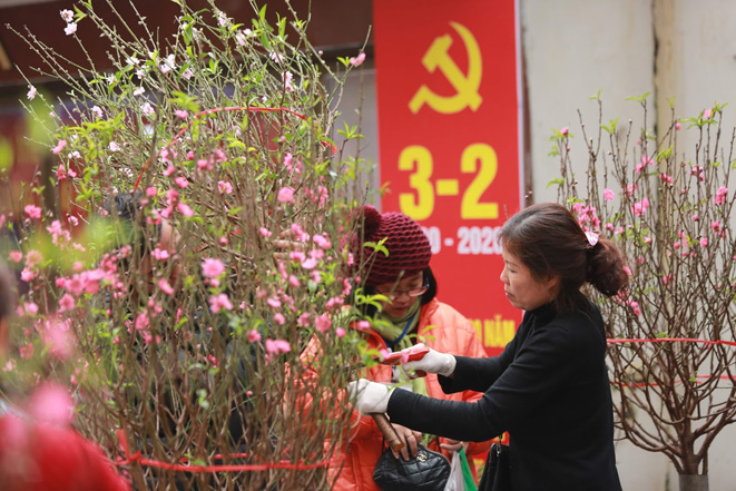 Thời tiết ngày 28-1 (mùng 4 Tết): Bắc Bộ và Bắc Trung Bộ trời rét