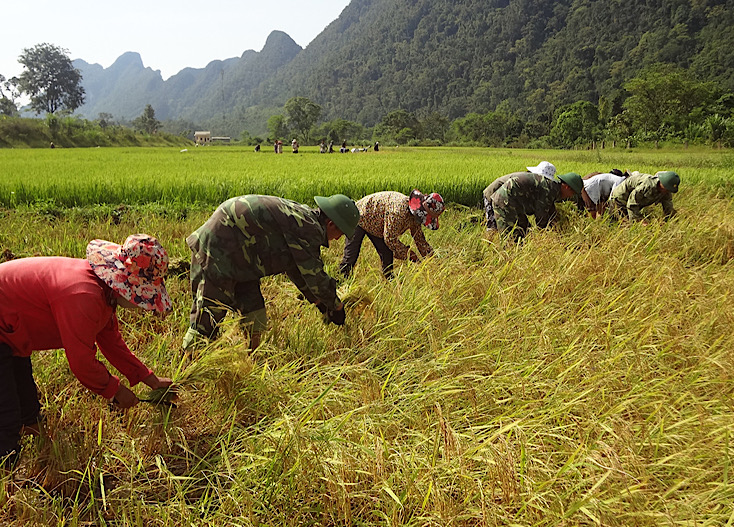 Sắc xanh màu áo Biên phòng