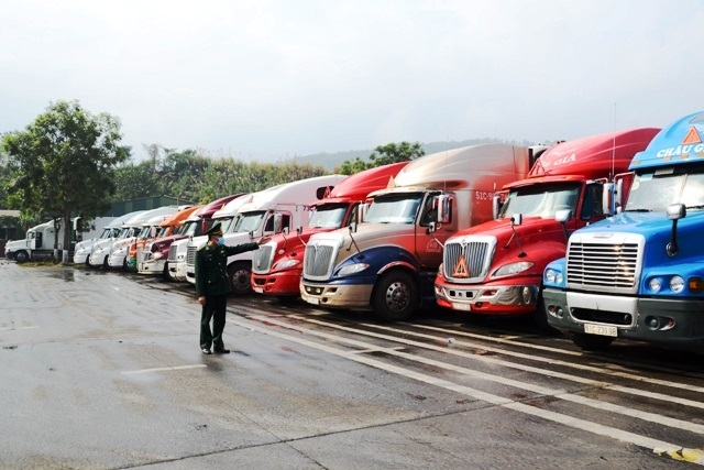 Chung tay gỡ khó cho nông sản Việt trước dịch nCoV
