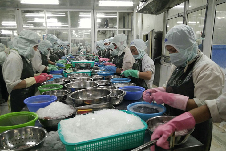 Thuỷ sản Quảng Bình: Một năm vượt qua thách thức