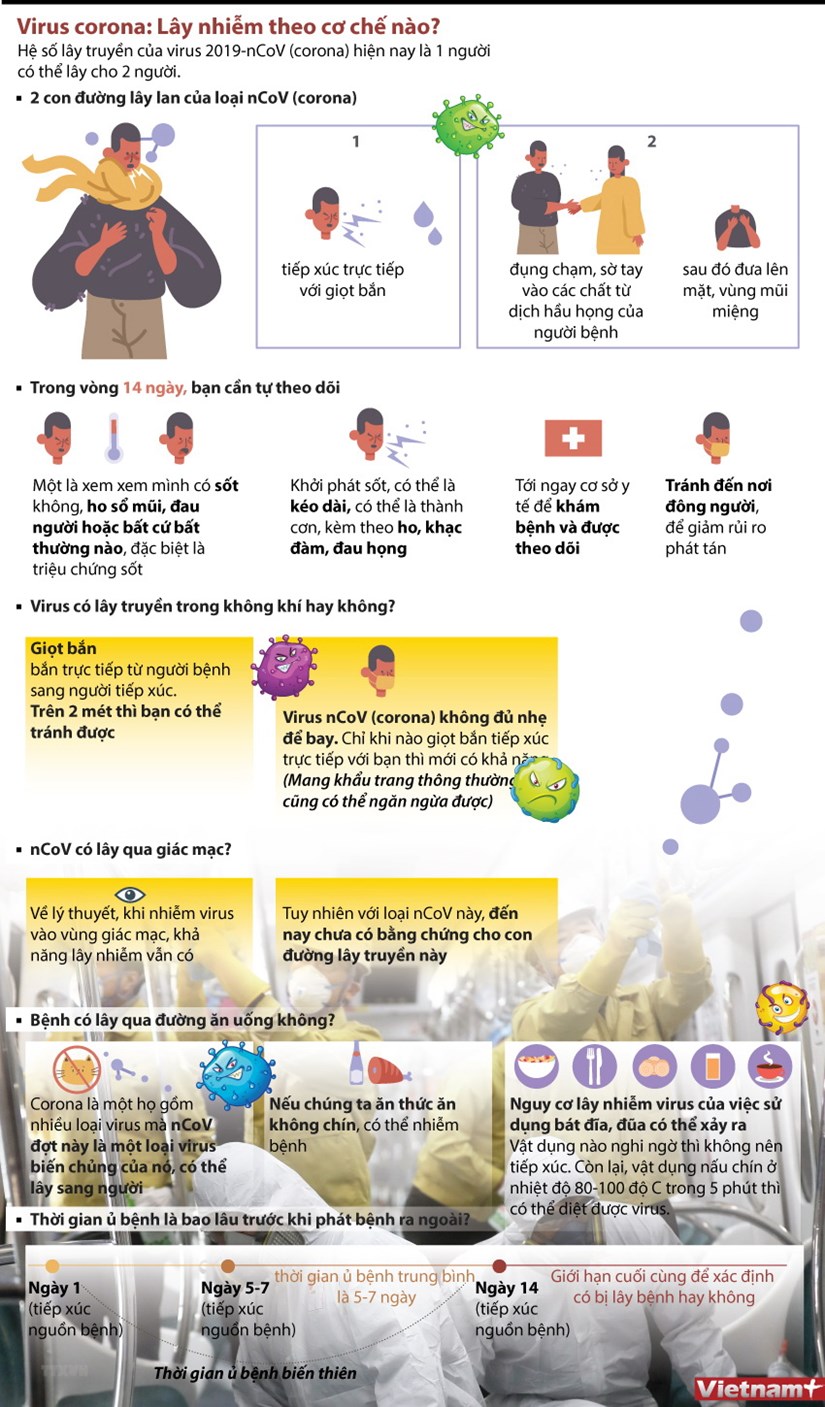 [Infographics] Virus 2019-nCoV lây nhiễm theo cơ chế nào?
