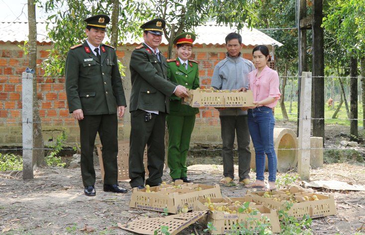 Hỗ trợ gần 3.000 con vịt biển giống cho nông dân