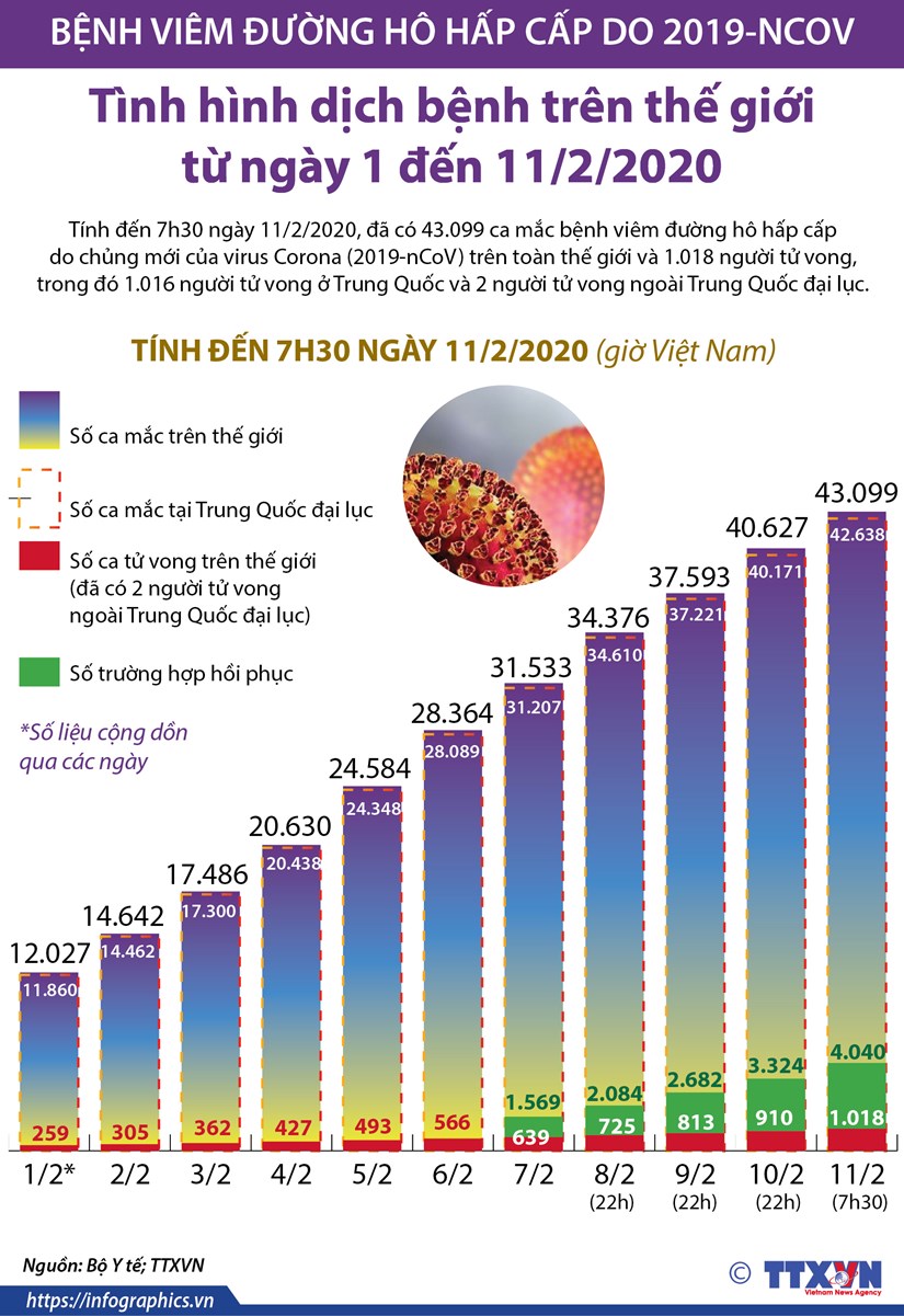 [Infographics] Gần 43.100 ca mắc bệnh do virus corona trên thế giới