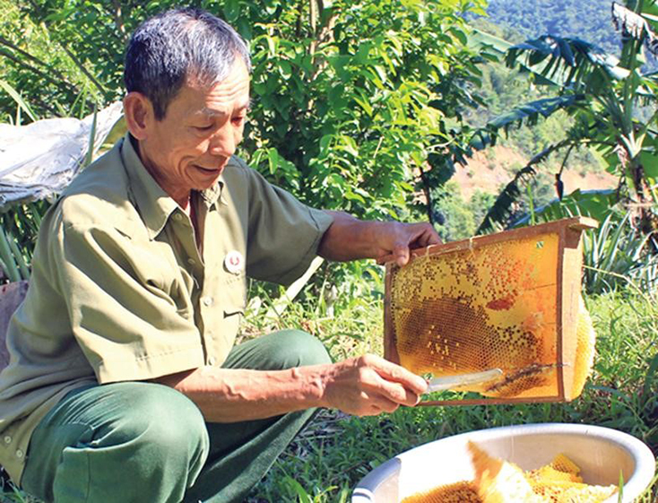 Minh Hóa: Tập trung giảm nghèo bền vững và giải quyết việc làm