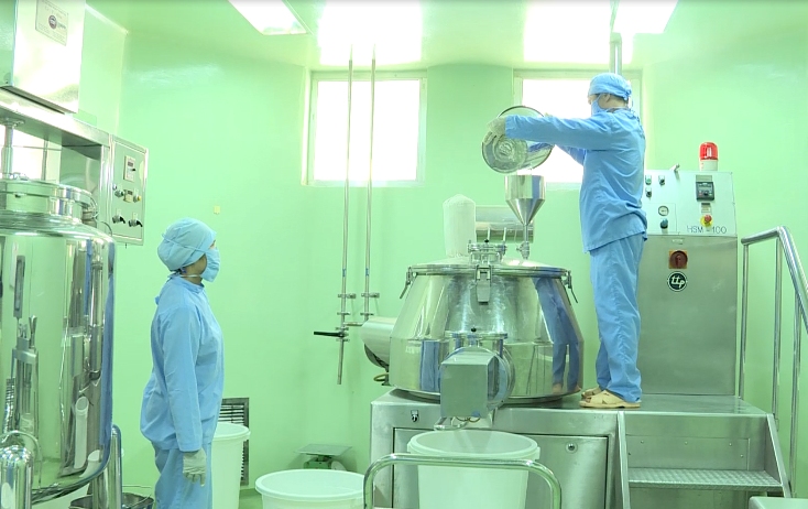 Phát huy sức mạnh của tổ chức Đảng trong xây dựng và phát triển doanh nghiệp