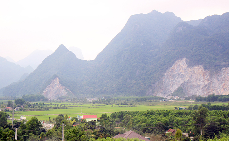 Xanh thắm Trường Xuân