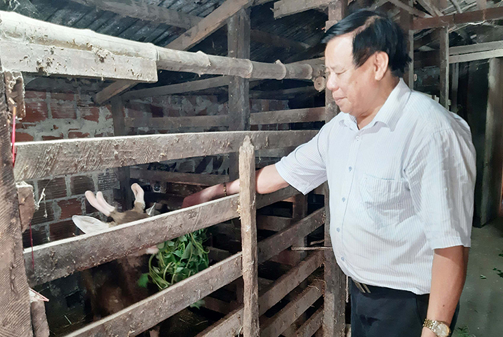 Người lan toả nghề nuôi hươu thoát nghèo