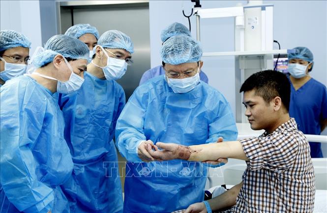 Thực hiện thành công ca ghép tay đầu tiên trên thế giới từ người cho sống