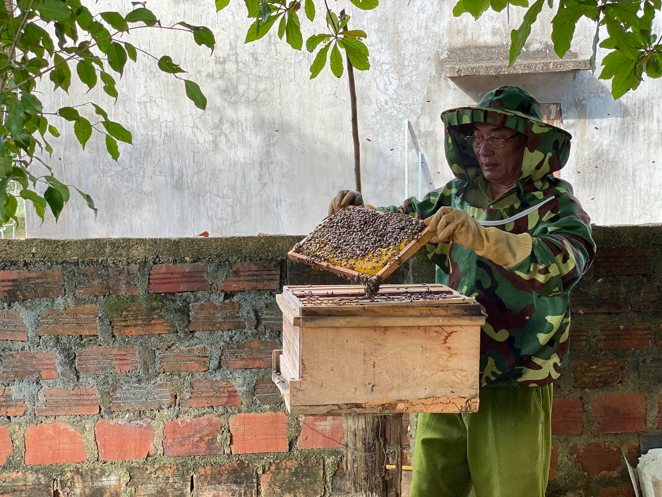 Bố Trạch: Nông dân đẩy mạnh phát triển nghề nuôi ong lấy mật