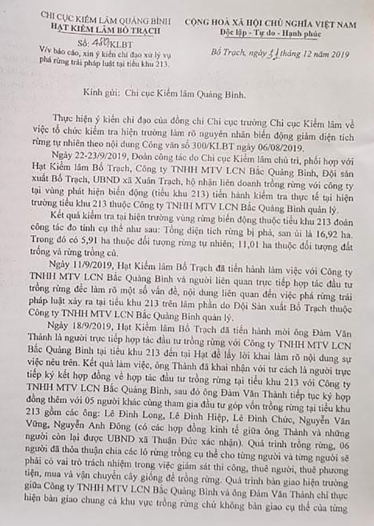 Bố Trạch: Làm rõ hành vi vụ phá rừng trái pháp luật ở xã Xuân Trạch