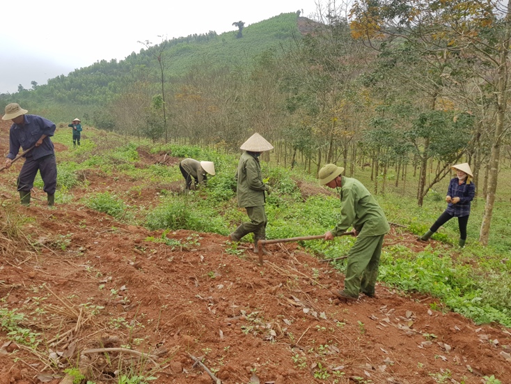 Tập trung nâng cao thu nhập, giảm nghèo bền vững