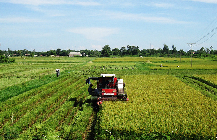 Chuyện những hợp tác xã trong lòng phố…