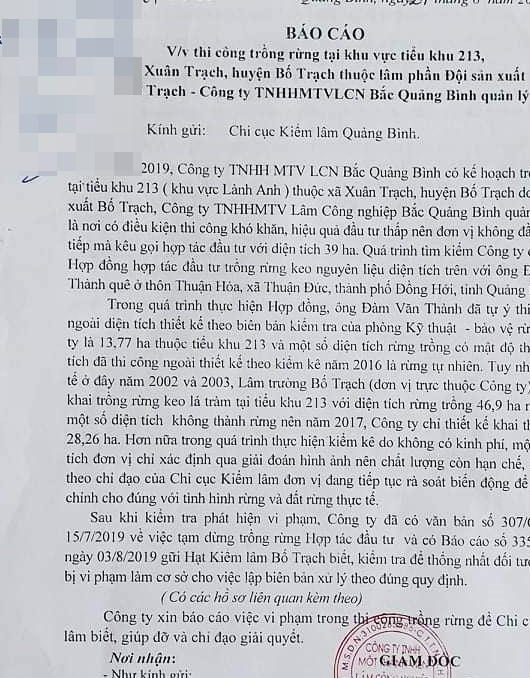 Công ty TNHH MTV LCN Bắc Quảng Bình: Thừa nhận thiếu sót trong công tác quản lý, bảo vệ rừng ở xã Xuân Trạch
