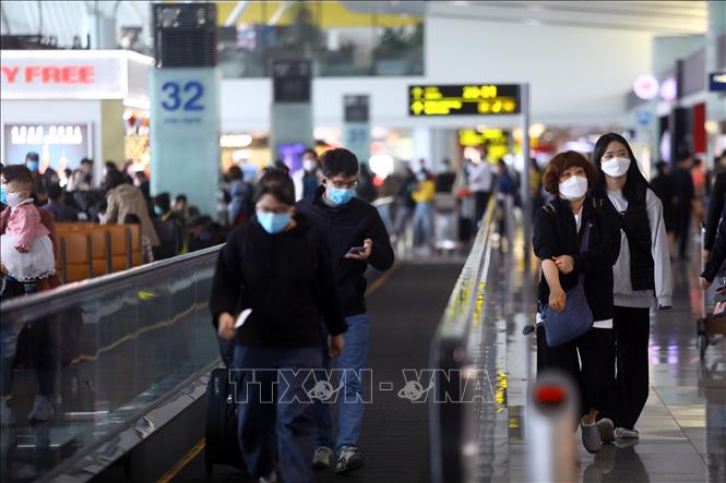 Nội Bài và Tân Sơn Nhất ngừng đón các chuyến bay chở khách từ Hàn Quốc