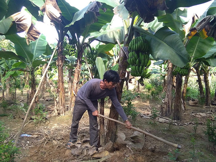 Chuyện những người không cho đất ngơi nghỉ...