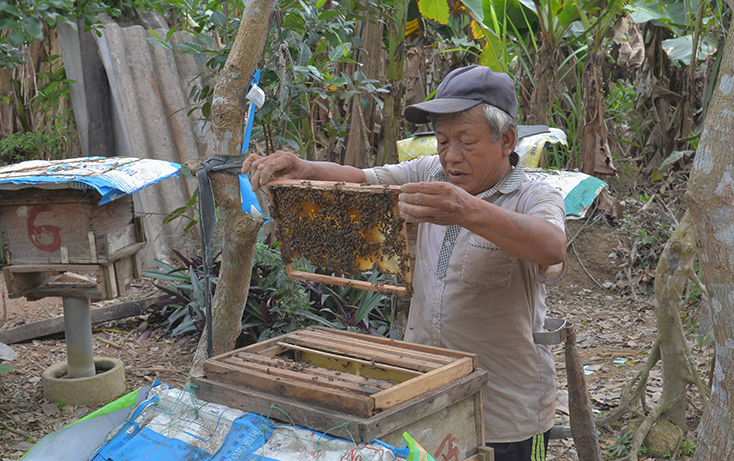 Hướng tới sinh kế bền vững