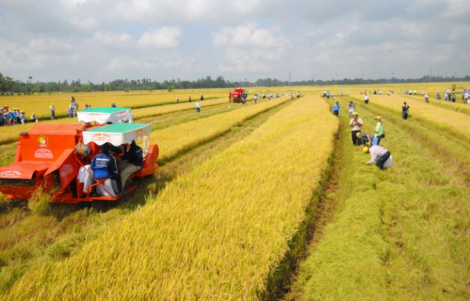Đề xuất tiếp tục miễn thuế sử dụng đất nông nghiệp đến ngày 31-12-2025