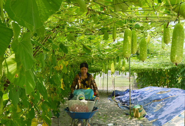 Tập trung huy động mọi nguồn lực xây dựng nông thôn mới