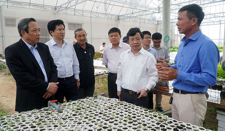 "Anh Việt rau sạch"