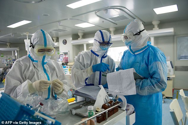 Phát hiện khỉ không mắc lại COVID-19, mở ra hy vọng bào chế vaccine
