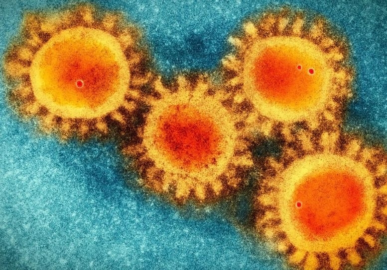 Không có bằng chứng về việc virus corona biến đổi gen trong phòng thí nghiệm